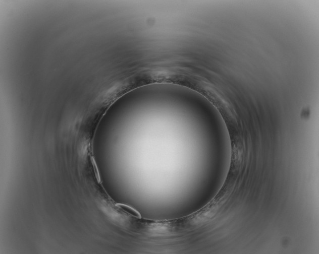 X0000094370574200711091541