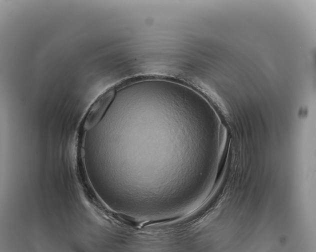 X0000094370580200711091540