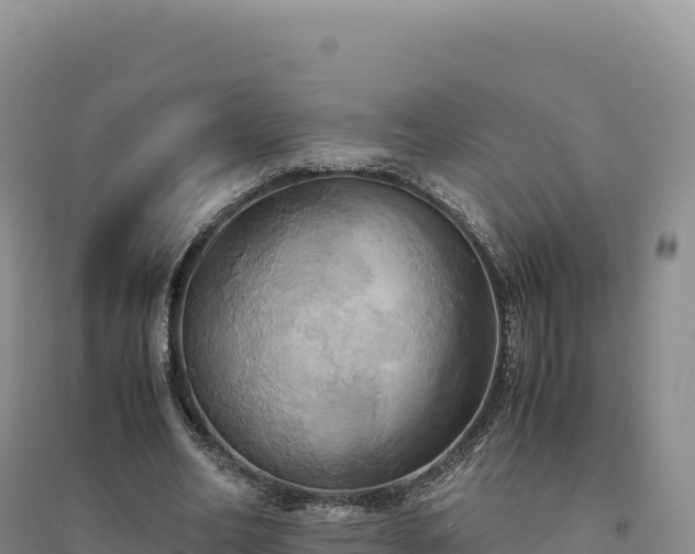 X0000094370582200711091540
