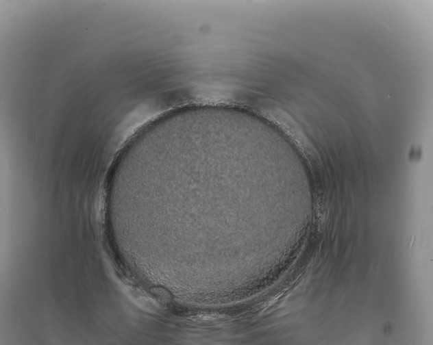 X0000094370583200711091540