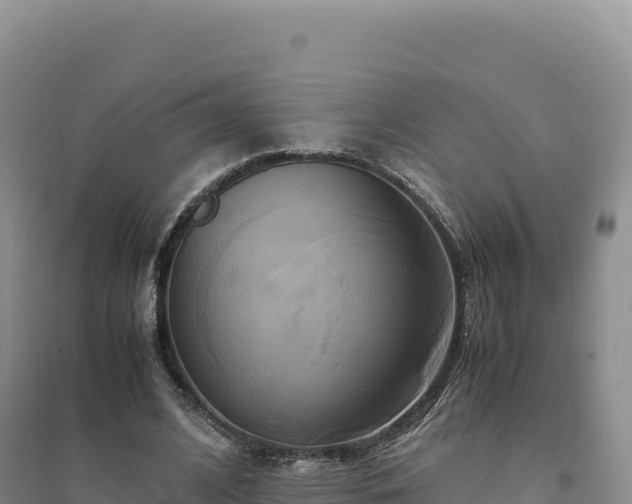 X0000094370584200711091540