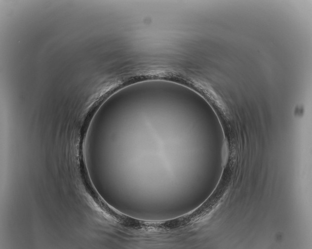 X0000094370585200711091540