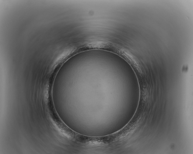 X0000094370586200711091540