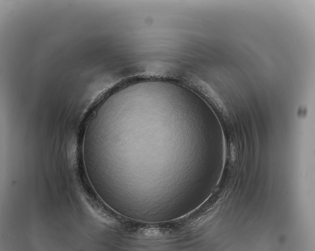 X0000094370588200711091540