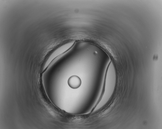 X0000094370589200711091540