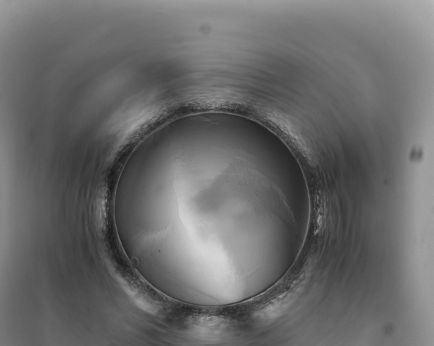 X0000094370590200711091540