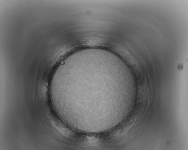 X0000094370592200711091540