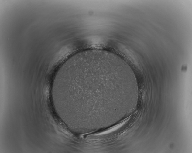 X0000094370595200711091540