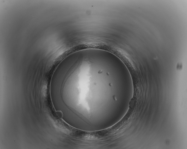 X0000094370596200711091540