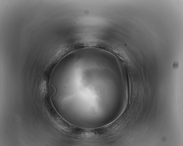 X0000094370598200711091540