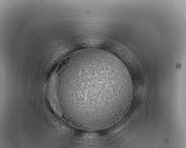 X0000094370599200711091540