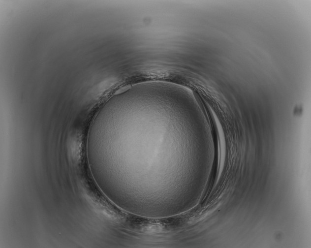 X0000094370600200711091540