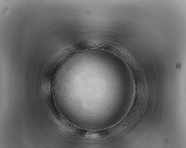 X0000094370602200711091540