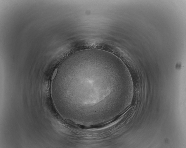 X0000094370605200711091539