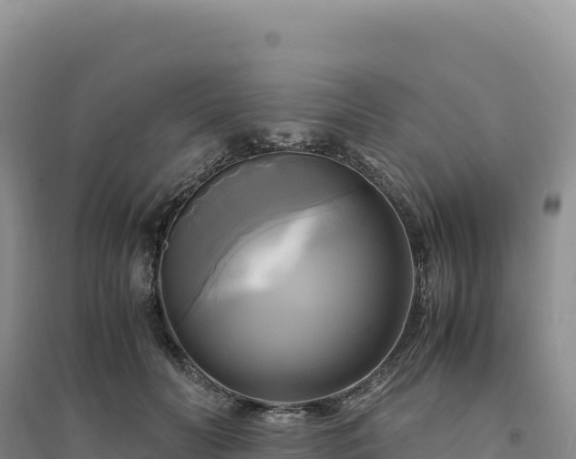 X0000094370606200711091539