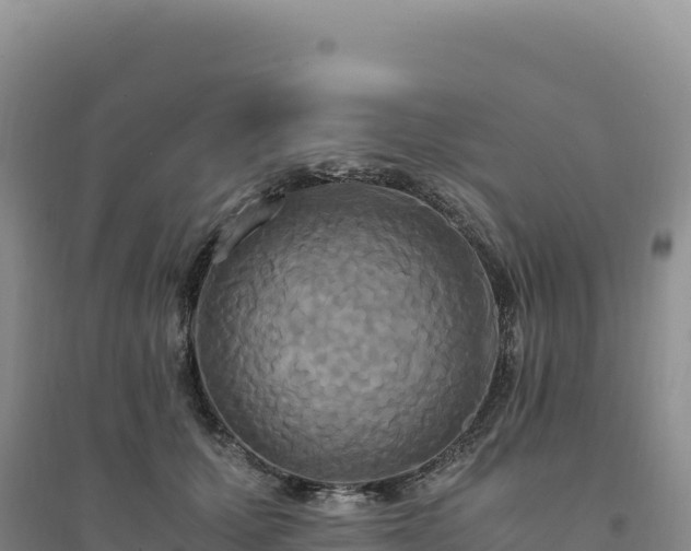 X0000094370607200711091539