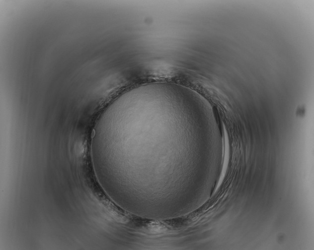 X0000094370608200711091539