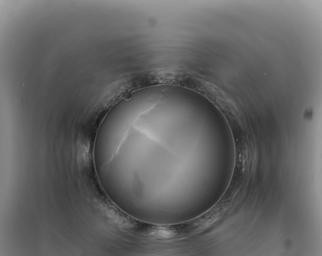 X0000094370610200711091539