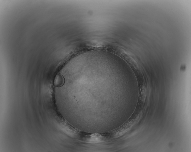 X0000094370612200711091539
