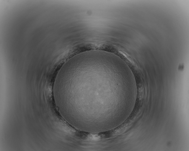 X0000094370613200711091539
