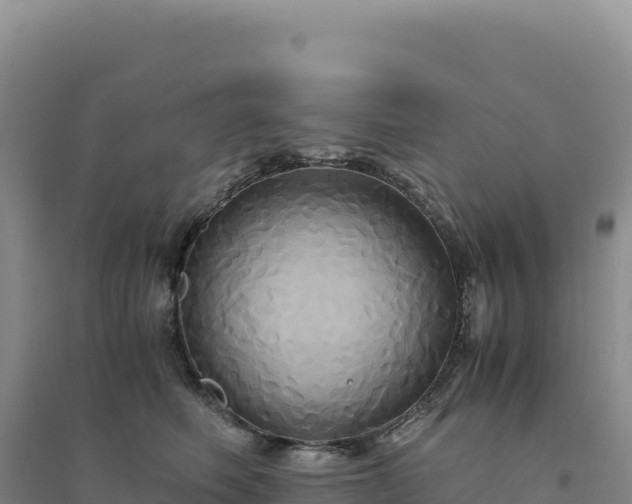 X0000094370614200711091539