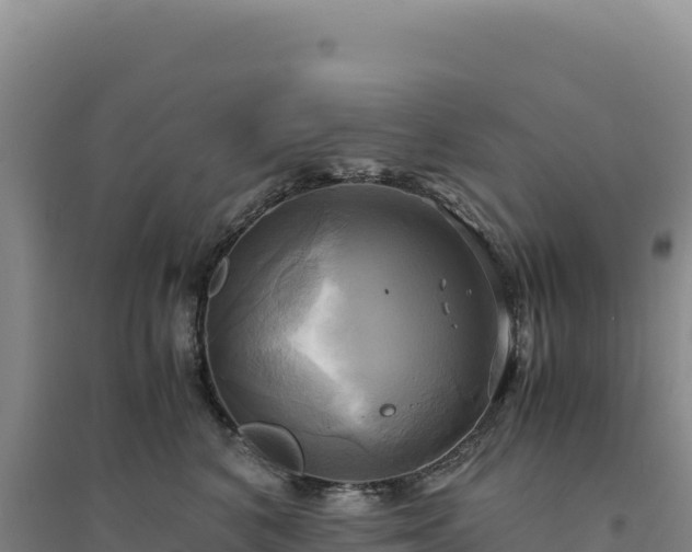 X0000094370616200711091539