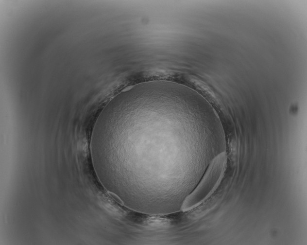X0000094370617200711091539