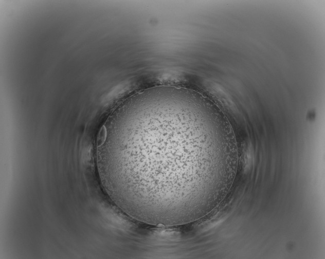X0000094370619200711091539