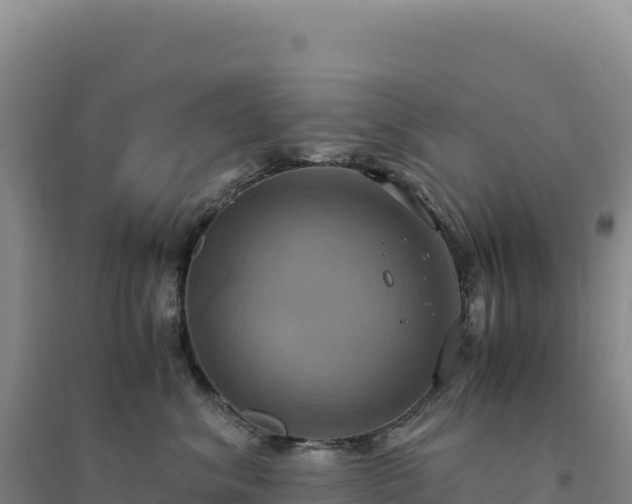 X0000094370620200711091539