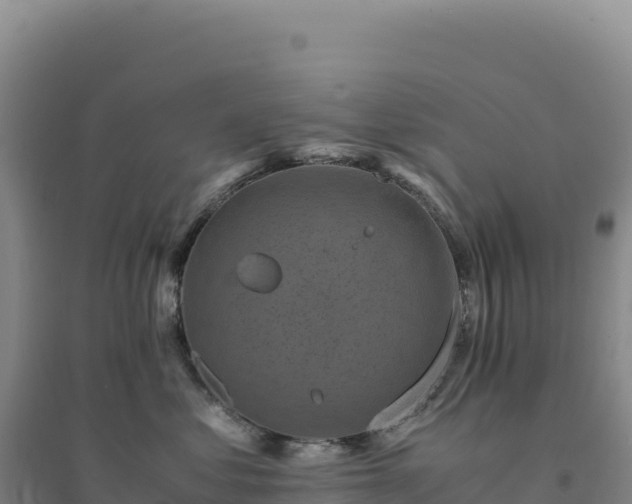 X0000094370621200711091539