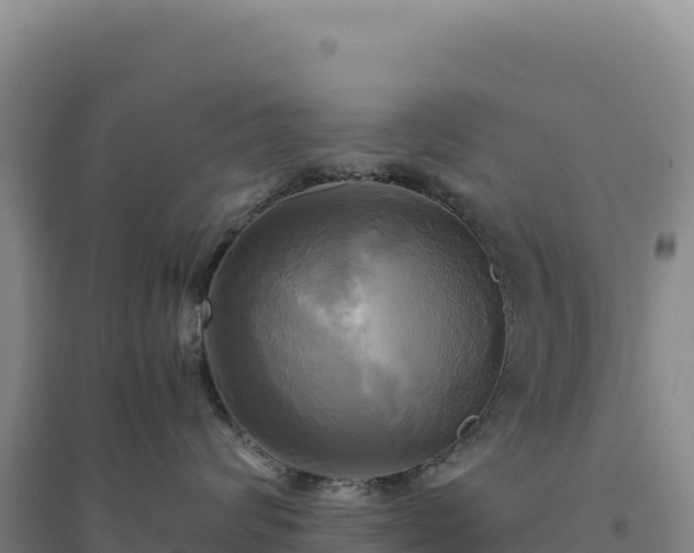 X0000094370624200711091539