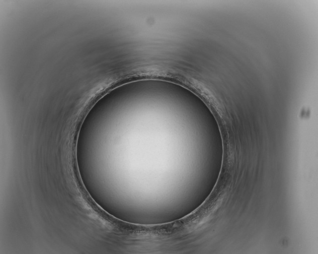 X0000094370625200711091539