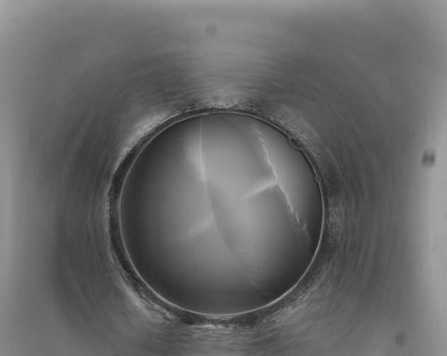 X0000094370626200711091539