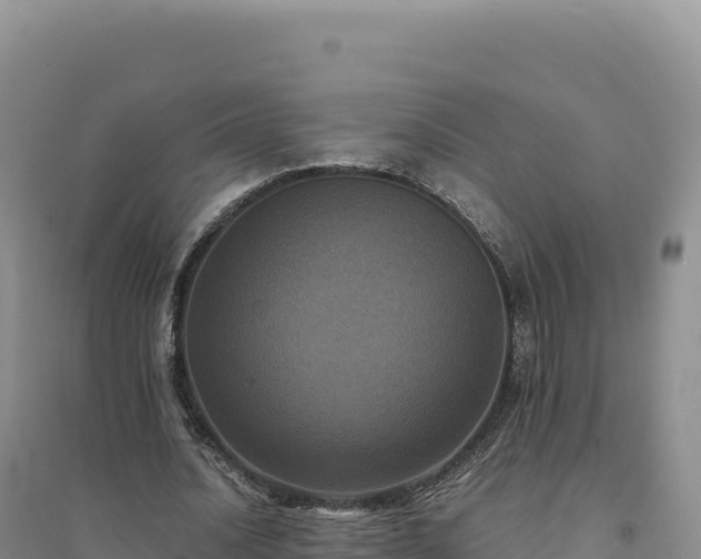 X0000094370628200711091539