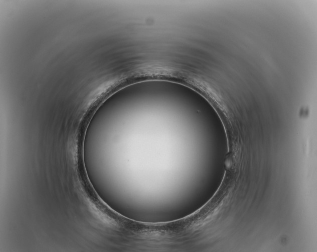 X0000094370629200711091539