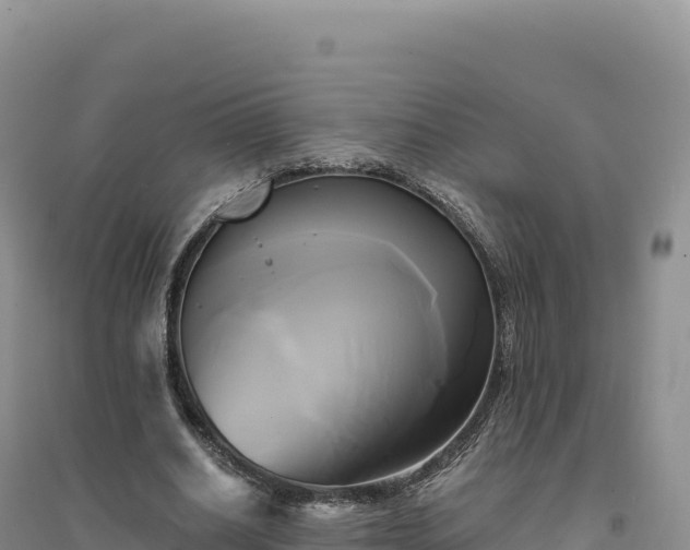 X0000094370630200711091539