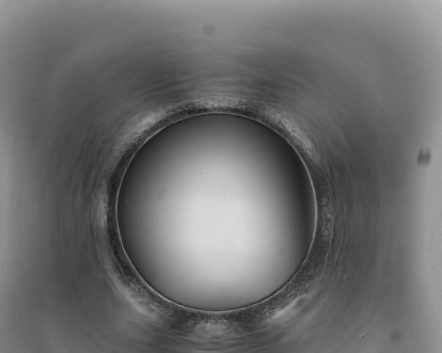 X0000094370631200711091539