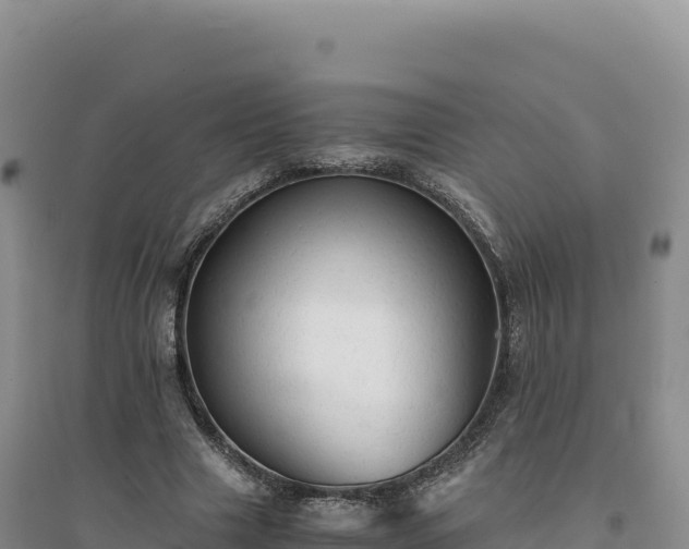 X0000094370633200711091539