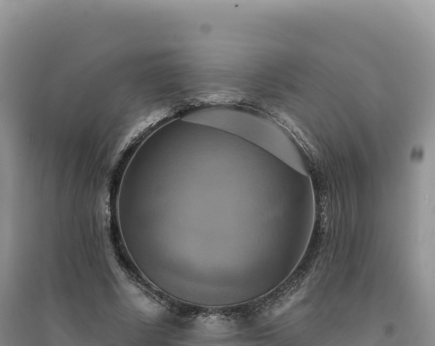 X0000094370634200711091539