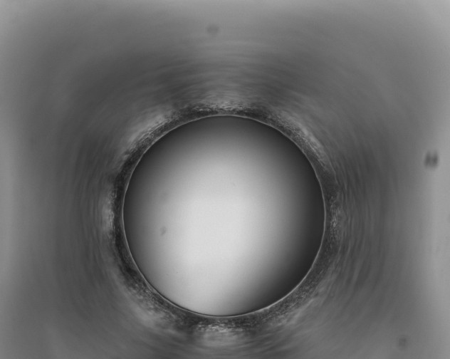X0000094370635200711091539