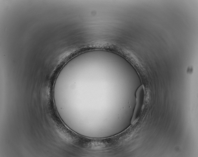 X0000094370636200711091539