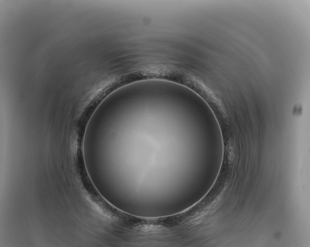 X0000094370637200711091539