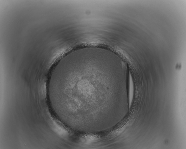 X0000094370638200711091539