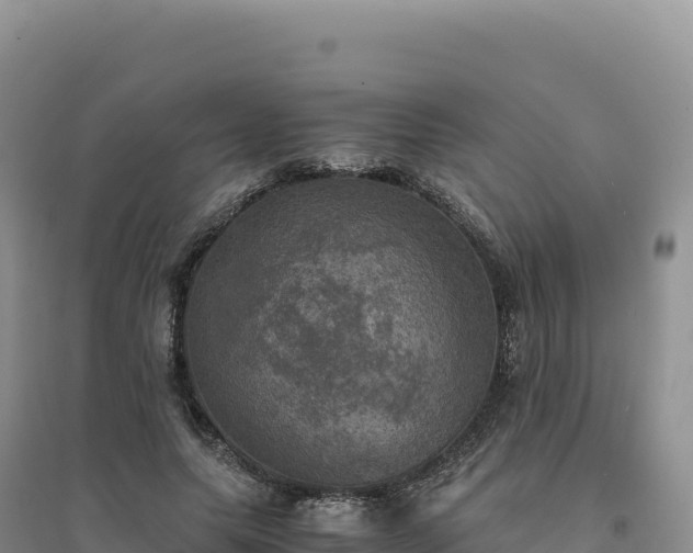 X0000094370639200711091539
