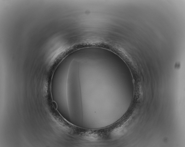 X0000094370640200711091539
