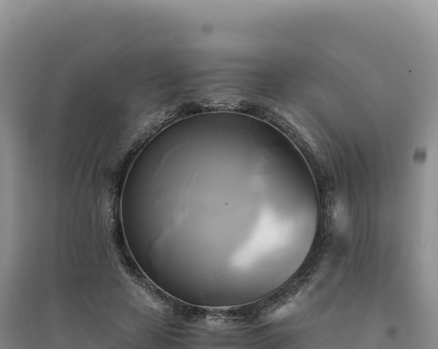 X0000094370641200711091539
