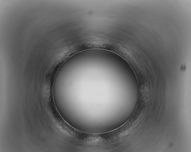 X0000094370642200711091539