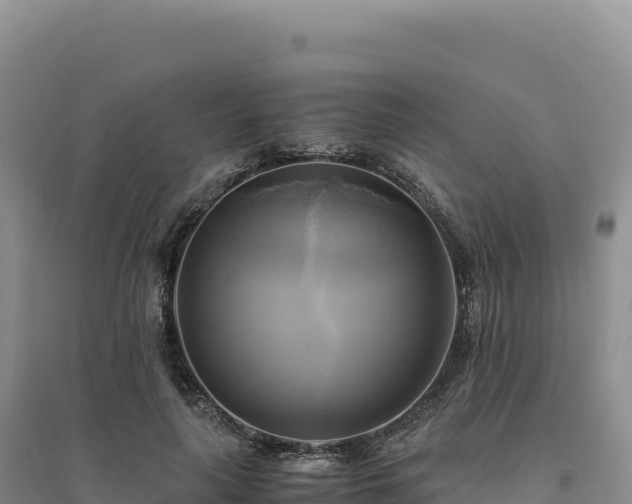 X0000094370643200711091539