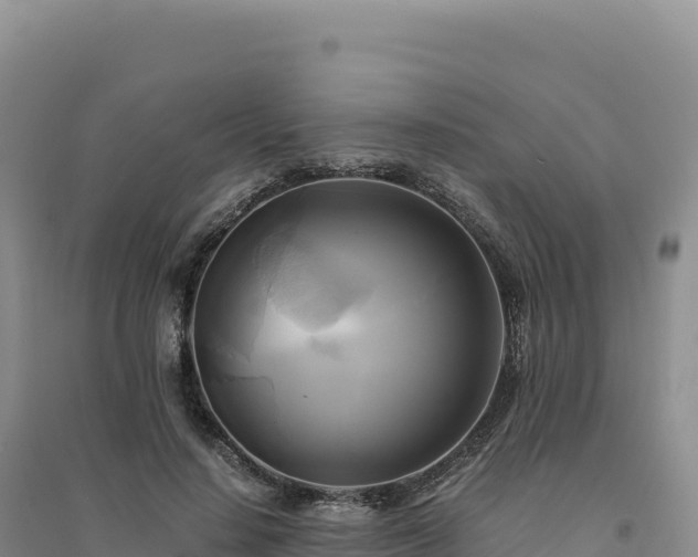 X0000094370644200711091539