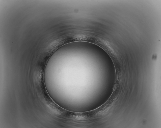 X0000094370645200711091539